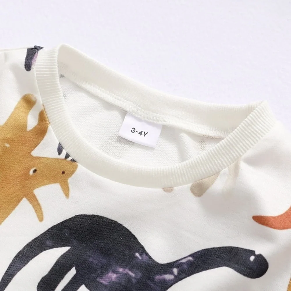 Dinosaur Print Kids Sweatshirt - Multicolor